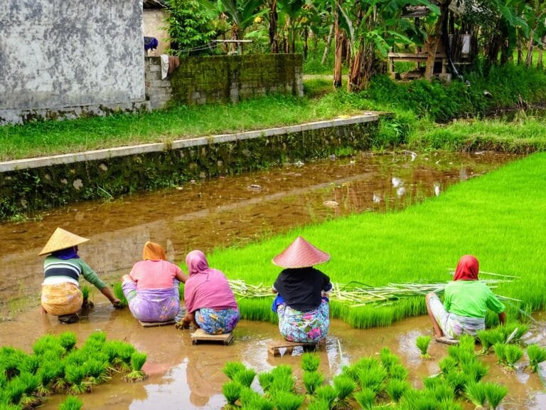 FASTBOATBALI.cz Lombok, Indonésie