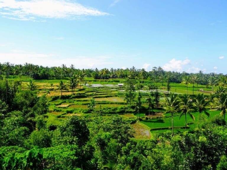 FASTBOATBALI.cz Lombok, Indonésie