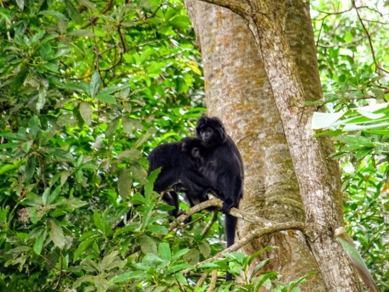 FASTBOATBALI.cz Lombok, Indonésie