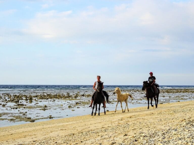 FASTBOATBALI.cz Gili Trawangan, Lombok, Indonésie